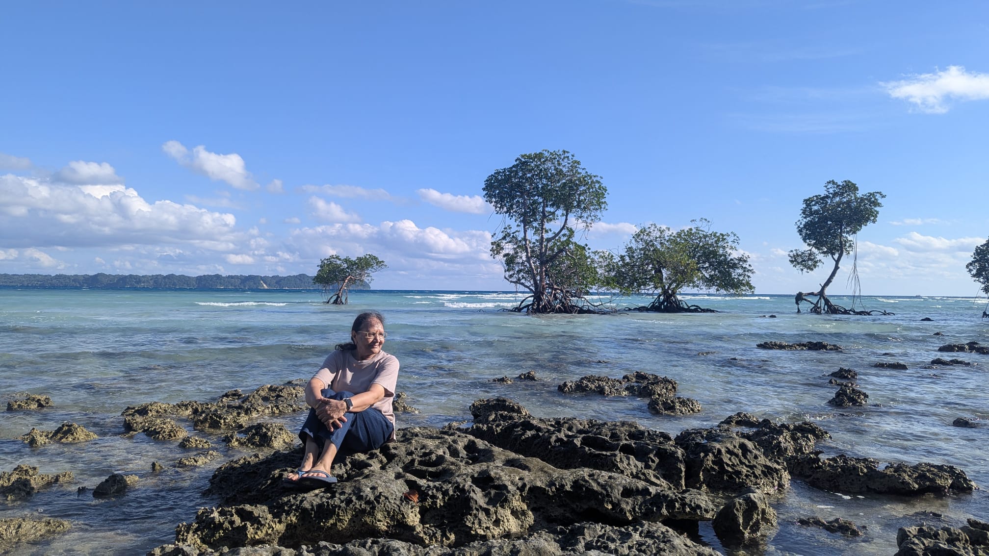 Khushi se bhari tasveer